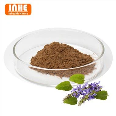 Pudră de extract de Coleus Forskohlii