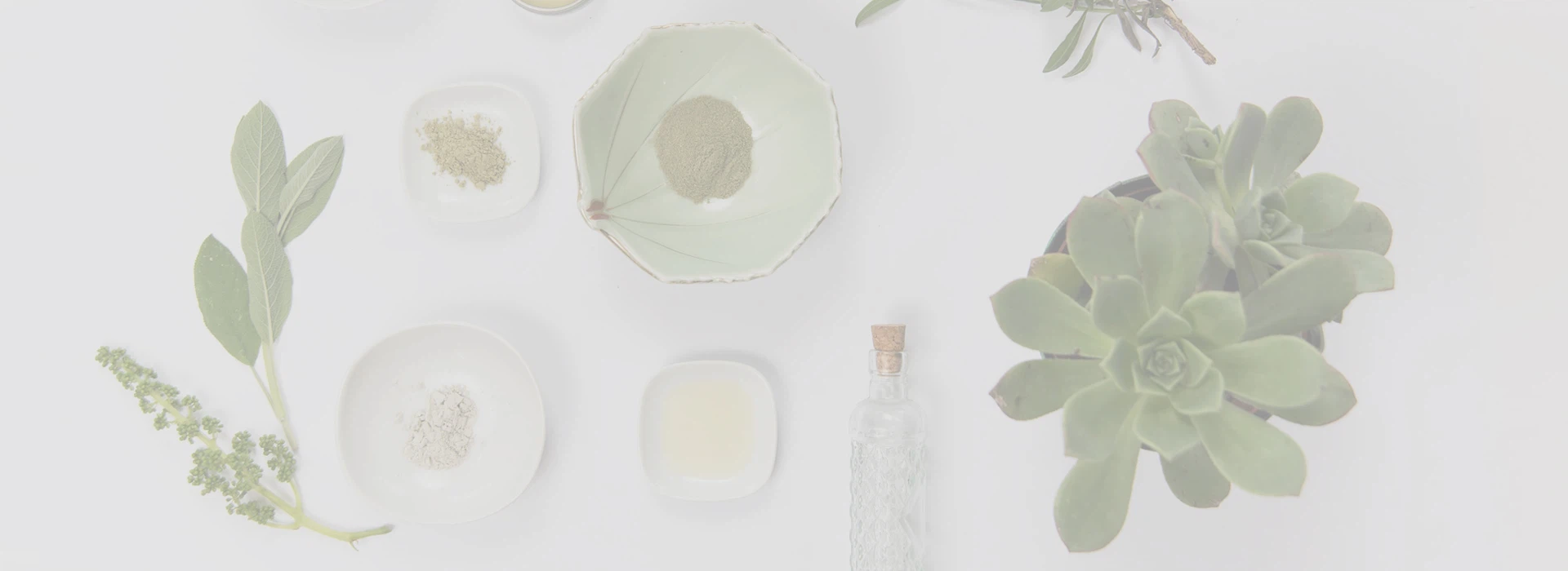 Shaanxi  Sanatate  Natura  Industrie  Co.,  Ltd