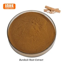 Extract de brusture vs pudră de ergotioneină pentru sprijin antioxidant
