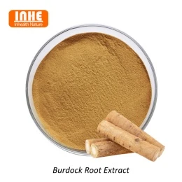 Care sunt ingredientele active de bază ale extractului de brusture?