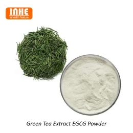 Extract de ceai verde vs extract de matcha