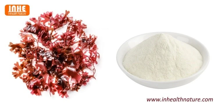 Red Algae and Agar Agar Powder